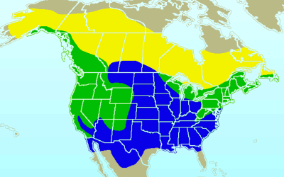 Uses of Breeding Bird Atlas Data