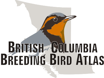 What is a Breeding Bird Atlas?