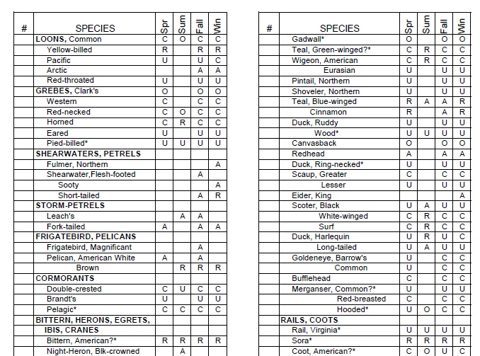 Keeping A Bird Checklist For Your Yard Birding World