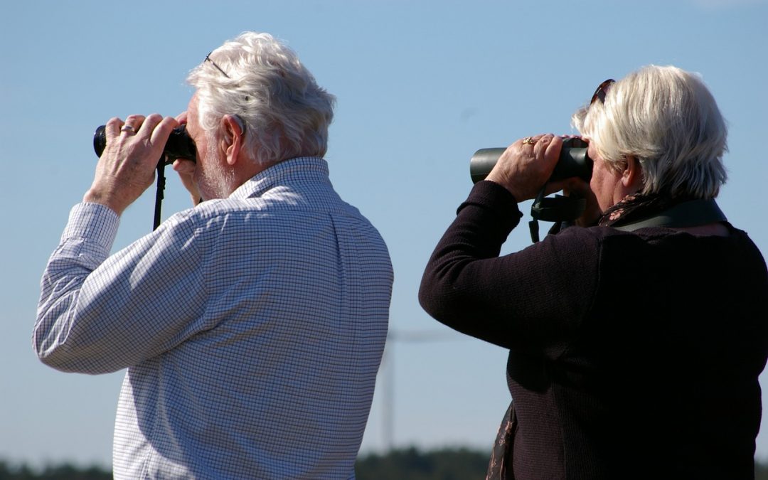 Couple birdwatching